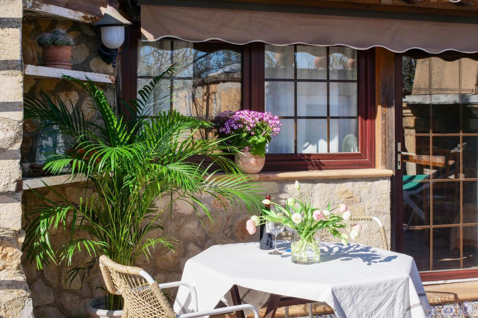 Bodasuite Mit Xxl Pool Und Grosser Privatterrasse Apartment *