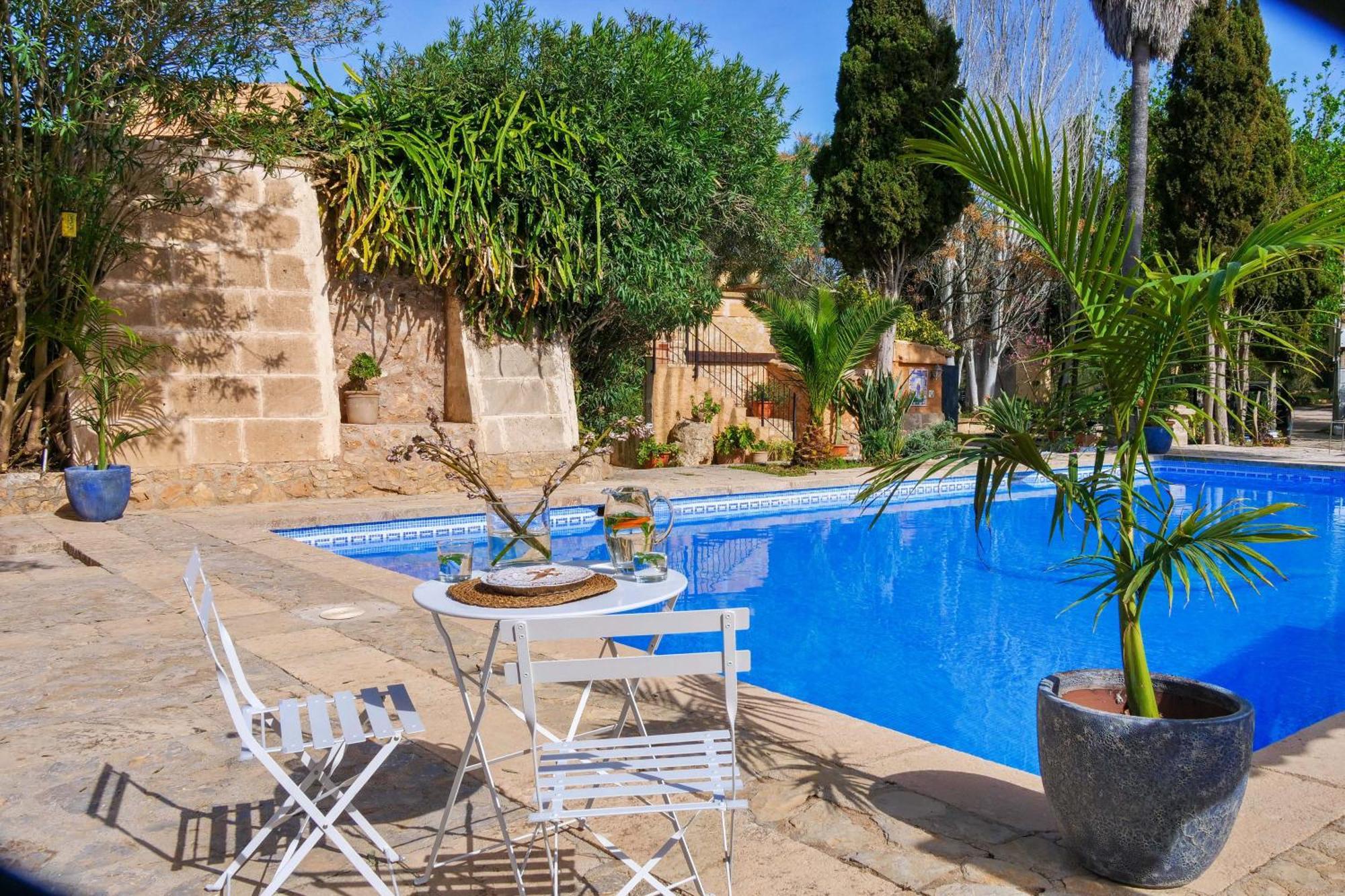 Bodasuite Mit Xxl Pool Und Grosser Privatterrasse Apartment